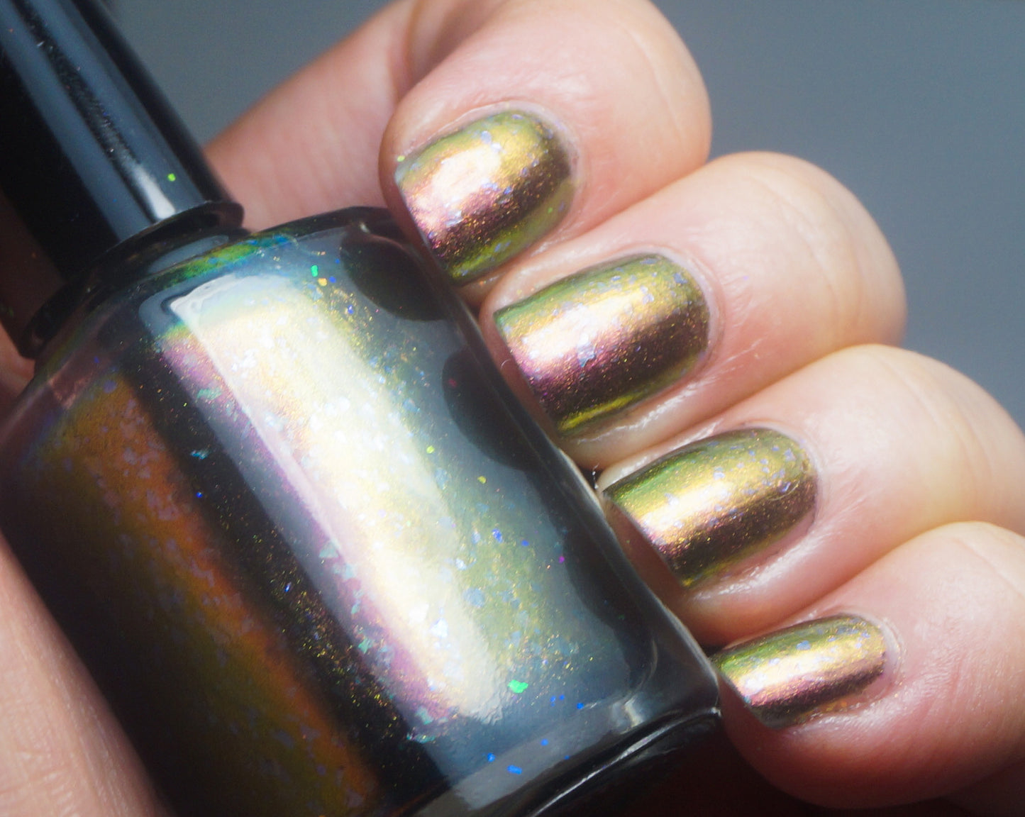 Rainbow Agama - OG UP - red multichrome flakie with OG UP sibling flakies