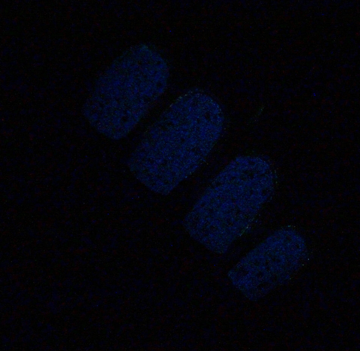 Enchante - red & black jelly - GLOWS blue